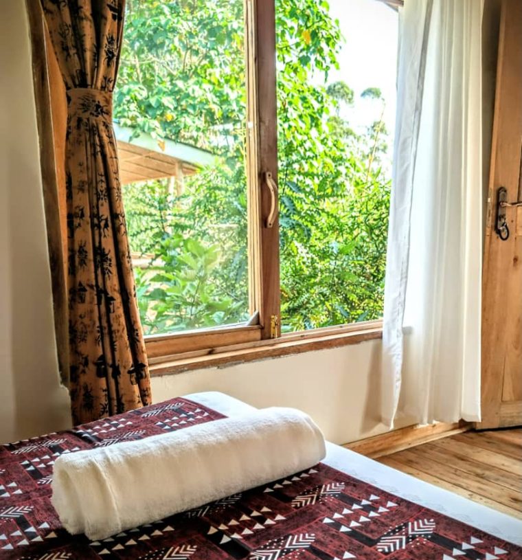 Nkuri Chimp Lodge